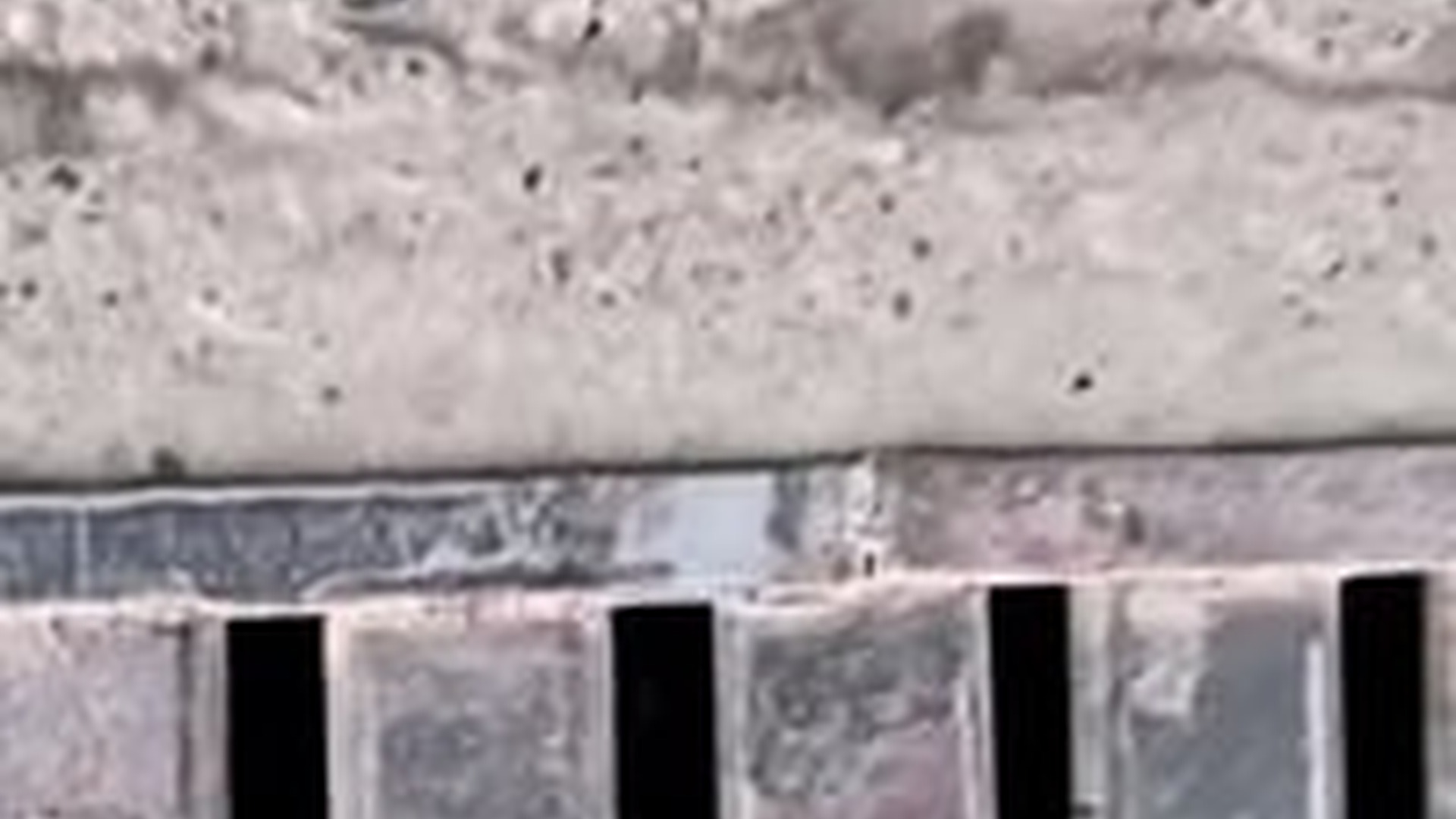 T0405009_He Helped Tiny Kitten Trapped in Drain Animix animal