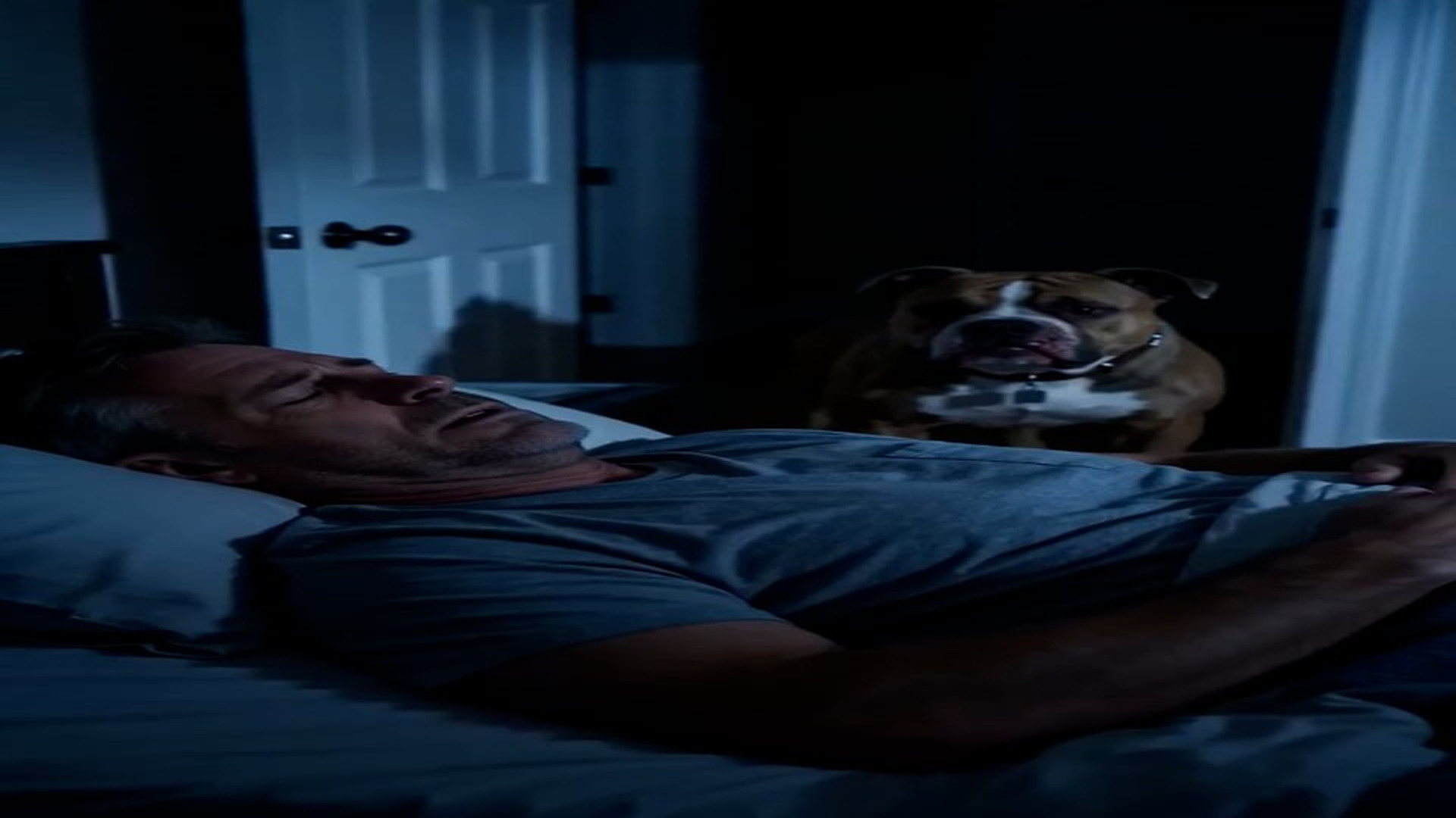 Full Story: T1506008_I Adopted The Most Aggressive Pitbull From The Shelter Because Nobody Wanted Him. One Night, I Woke Up To Him Dragging