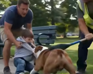 Unfold Story: T2807007 Pit Bull Rescue, everyone feared the pit bull until it revealed the real danger🐕😱💔 #PitBull #HeroDog #WronglyBlamed #HiddenTruth